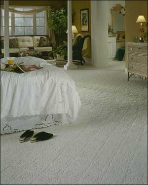 Discount Carpeting From Shaw Carpet Mohawk Carpet And More